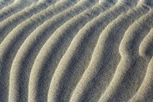 Images Dated 25th February 2008: Sand Dune close-up of sand ripples of white sand dunes at Whaririki Beach Golden Bay