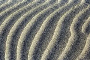 Sand Dune close-up of sand ripples of white sand dunes at Whaririki Beach Golden Bay, Nelson District, South Island, New Zealand