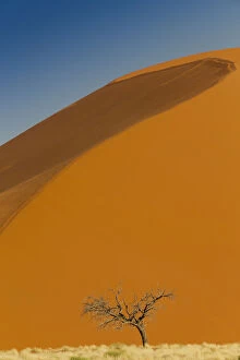 Images Dated 7th May 2013: Sand dunes of Namib Naukluft National Park