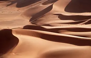 Dune Prints: Sand Dunes in Namib-Naukluft Park