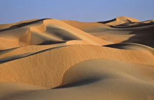Dune Gallery: Sand Dunes in the Rub al-Khali, United Arab