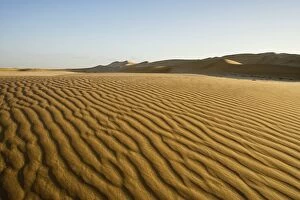 Images Dated 17th October 2008: Sand ripples in late afternoon light - Dune Fields - Namib Desert - Namibia - Africa