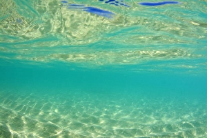 Sand ripples and waves - underwater shot of a sun drenched ocean. The sunlight reflects on the waves and throws light and shadow on the sand rippled ground - Ningaloo Reef Marine Park, Western Australia, Australia Images Dated 26th July 2008: Sand ripples and waves - underwater shot of a sun drenched ocean. The sunlight reflects on the waves
