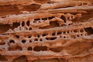 Images Dated 7th December 2009: Sandstone Formation - Red Canyon - Sinai - Egypt
