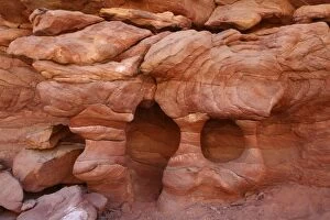 Images Dated 7th December 2009: Sandstone Formation - Red Canyon - Sinai - Egypt