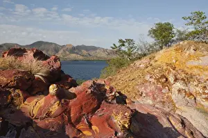 Flores Prints: Sandstone - pink with oxydation & minerals including Iron & Manganese
