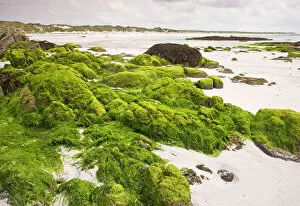 Sand Gallery: Sandy beach with algae-covered rocks at Balranald