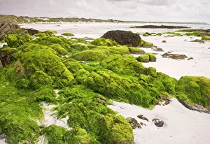 Sandy beach with algae-covered rocks at Balranald Sandy beach with algae-covered rocks at Balranald