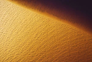 The sandy shore of a freshwater marsh - aerial view