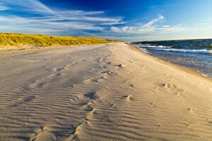 Dune Gallery: Sandy shores of Lake Michigan at Ludington