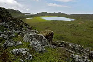 Sanetti Plateau - Bale Mts. - Ethiopia - Africa
