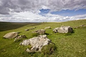 Images Dated 6th August 2011: Sarsen Stones - on the steep south-facing chalk downs - Pewsey Downs National Nature Reserve (NNR)