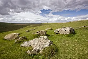 Geological Prints: Sarsen Stones - on the steep south-facing chalk downs - Pewsey Downs National Nature Reserve (NNR) Wiltshire