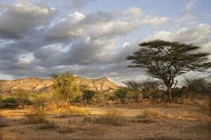 Savanna biome, National Park of Mago, South Ethiopia