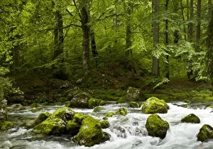 Images Dated 6th June 2011: The Savica river - flowing through rocky mountain