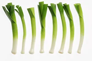 Collections: Fruit & Veg Collection