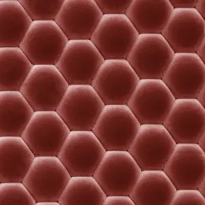 Scanning Electron Micrograph (SEM): Eye of a House Fly ; Magnification x 3, 200 (A4 size: 29. 7 cm width)