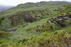 Images Dated 16th June 2006: Scotland - Ben Lawers Nature Reserve, showing rich flora within enclosure