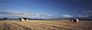 Scotland, Highland, Autumn hay rolls in