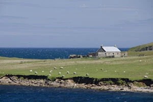 Scotland, Shetland Islands, Island of Bressay