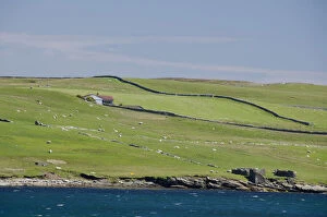 Scotland, Shetland Islands. View of