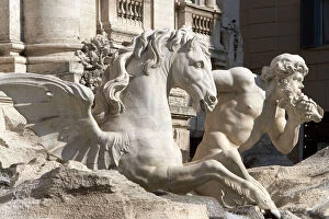Towns Collection: Sculpture - Trevi Fountain - Rome - Italy