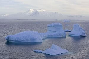 SE-450 Icebergs and Mountains at Sunrise