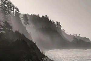 Mist Prints: Sea mist rises along Indian Beach at Ecola State Park in Cannon Beach