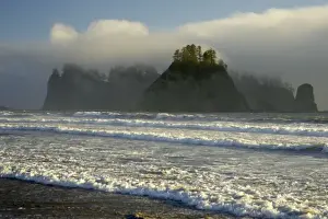 Sea Stacks Prints: Sea Stacks and Coastal Fog Rialto Beach