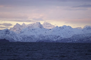 Images Dated 15th November 2006: Seascape and Mountains - Tysfjord - Lofoten Isles - Norway