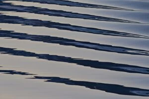 Abstracts Gallery: Seascape sea patterns at sunset