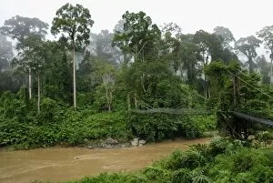 Images Dated 19th November 2007: Segama river at lowland rainforest of Danum Valley Conservation Area