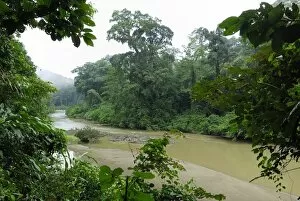 Images Dated 17th November 2007: Segama river at lowland rainforest of Danum Valley Conservation Area