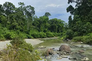 Segama river at lowland rainforest of Danum Valley Conservation Area - Sabah - Borneo - Malaysia