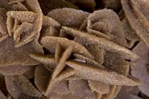 Selenite - Desert Rose - Bou Saada-Algeria