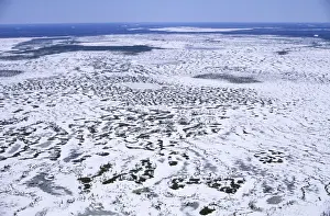 Siberia Prints: Semi-tundra aerial