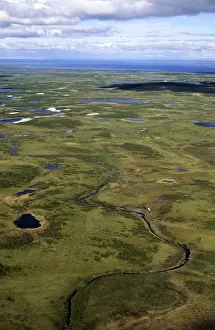 Semi-tundra, aerial view from a helicopter. A typical landscape near large lake Pyasina, Taimyr peninsula, North of Siberia, Russian Arctic, summer. Di33. 1904