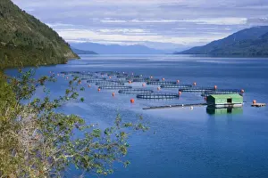 Fjords Prints: Seno Ventisquero Fish Farm - a calm fjord arm which is part of the larger Canal Puyuhuapi