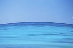 Seychelles Assumption Island