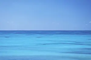 Seychelles Assumption Island