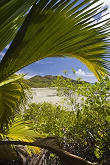 Images Dated 20th November 2009: Seychelles, Curieuse Island, Laraie Bay