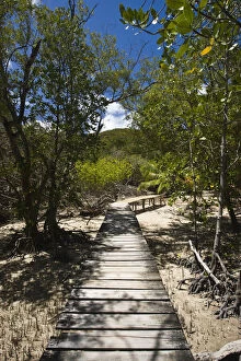 Images Dated 20th November 2009: Seychelles, Curieuse Island, marsh walkway