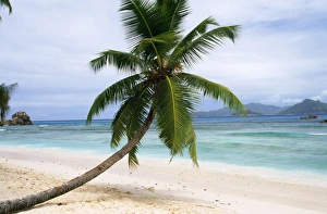 Images Dated 1st October 2007: Seychelles - La Digue