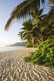 Seychelles, Mahe Island, Anse Marie-Louise