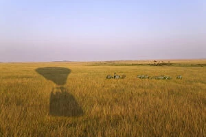 Images Dated 3rd July 2012: Shadow of hot air balloon on the grassland