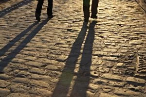 Images Dated 23rd November 2010: Shadows - on cobblestones