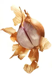 Fruit And Veg Prints: Shallot