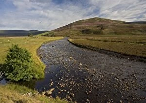 Shallow river by moorland