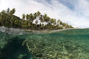 Ambon Gallery: Shallow water view from sea