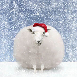 Falling Gallery: Sheep, fluffy white snowball with Christmas hat